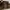 Birkenstock Taormina Oiled Leather Habana photo 4