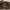 Birkenstock Taormina Oiled Leather Habana photo 2