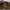 Birkenstock Taormina Oiled Leather Habana