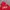 Streetwear Skater Hoody Pria red photo 3