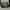 Under Armour UA Project Rock BSR  photo 5