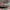 Cath Kidston Messenger Bag photo 7