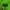 Streetwear Skater Hoody Pria green photo 5