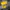 Dickies Streetwear Skater Hoody Pria yellow photo 1