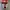 Vans Old Skool Red Puzzle Japan Market photo 2