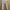 Celana TOPMAN Stretch Skinny photo 4
