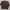 CREWNECK KANGOL, size M-L photo 1