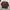 CREWNECK KANGOL, size M-L photo 2
