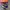 Converse 70s Hi Purple photo 2