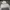 RVCA Streetwear Skater Hoody Pria white photo 3