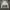 RVCA Streetwear Skater Hoody Pria white photo 2