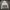RVCA Streetwear Skater Hoody Pria white photo 1