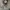 Converse 70s CDG low Black photo 1
