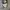 Converse Allstar Hi Future Utility photo 1