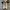 Converse Allstar Hi Future Utility photo 4