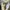 Converse Allstar Hi Future Utility photo 9