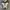 Converse Allstar Hi Future Utility photo 5