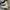 Converse Allstar Hi Future Utility photo 2
