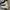 Converse Allstar Hi Future Utility
