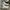 Converse Allstar Hi Future Utility photo 3