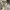 Alpha Industries Biker Track jacket Pria tan photo 2