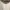 Alpha Industries Biker Track jacket Pria tan photo 4