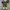Converse Allstar Washed Lichen photo 4