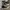 Converse Allstar Hi Black White photo 3