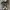 Converse Allstar Hacked Work photo 5