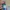 Owala stitch version 32oz photo 4