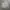 Adidas Sportswear Hoody Pria gray photo 1