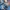 Hanes Vintage Sweatshirt Pria blue photo 5