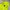 EXR Trail Running Outdoor Jacket photo 4