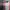 2 in 1 Polo Shirt Double Neck Stripe Thruxton Japan photo 5