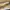Puma Streetwear Casual Sneakers Pria tan khaki photo 4