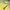 Descente Dualist Technical Equipment Outdoor Jacket photo 4