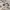 Ajax Third 25/26 Player issue photo 5