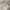 Ajax Third 25/26 Player issue photo 1