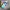 iphone 11 64gb inter photo 2