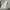 iphone 11 64gb inter photo 1