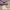 MK Withney Small pale Lilac photo 7
