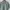Alexandre Mattiussi Ami Paris Tee Green  photo 1