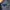 Avirex photo 7