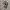 VORTEX REALTREE photo 5