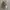VORTEX REALTREE photo 1