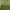 shopinkae green cropped cardigan crop photo 5