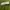 shopinkae green cropped cardigan crop photo 3