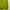 Minimalist Casual Sweater Wanita green photo 3