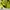 Minimalist Casual Sweater Wanita green photo 4