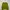 Minimalist Casual Sweater Wanita Green